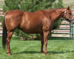 Zuchtstute Red Macarena (Quarter Horse, 2003, von Red xx)