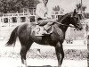 stallion Doc's Jack Frost (Quarter Horse, 1968, from Doc Bar)