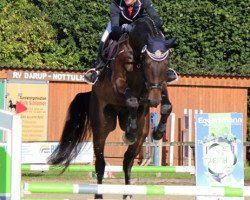 dressage horse Real Friend SN (Westphalian, 2011, from Rock Forever NRW)