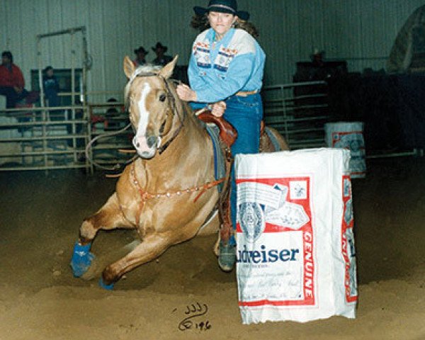 stallion Frenchmans Guy (Quarter Horse, 1987, from Sun Frost)