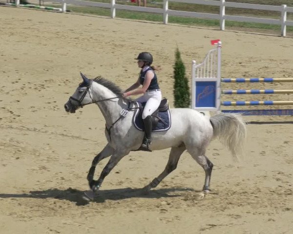 Reitturnier Leutkirch-Diepoldshofen 2020