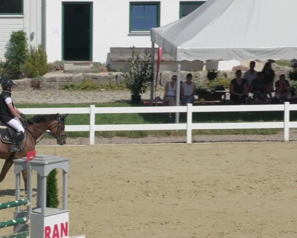 Reitturnier Leutkirch-Diepoldshofen 2020