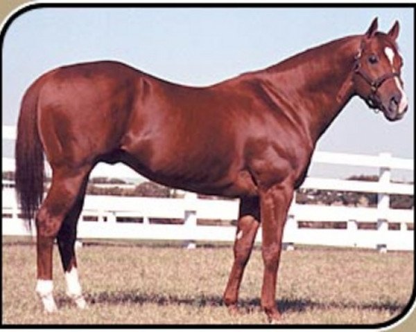 stallion Special Effort (Quarter Horse, 1979, from Raise Your Glass xx)