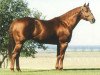 Deckhengst Streakin Six (Quarter Horse, 1977, von Easy Six)