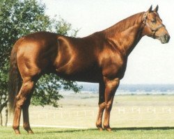 Deckhengst Streakin Six (Quarter Horse, 1977, von Easy Six)