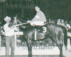 broodmare Band Of Angels (Quarter Horse, 1968, from Alamitos Bar)