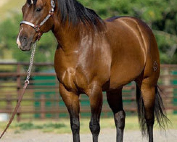 broodmare JL Sabina (Quarter Horse, 2005, from Dash Ta Fame)