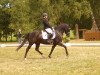 dressage horse Ballantines 33 (German Riding Pony, 2010, from Boyfriend)