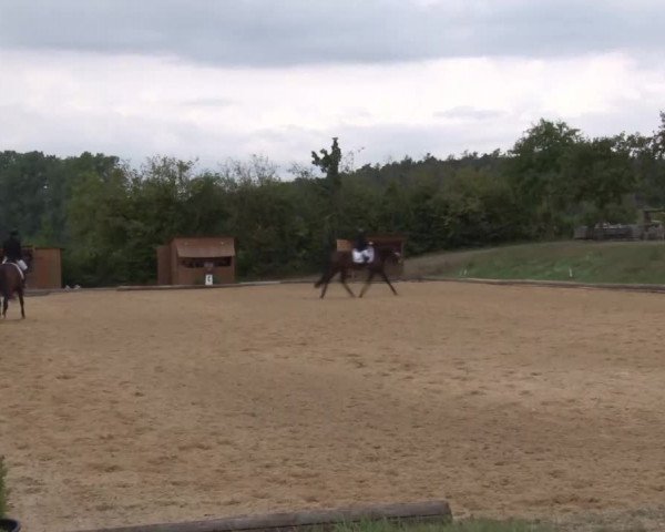 Reitturnier Brünst/Mfr. 2020