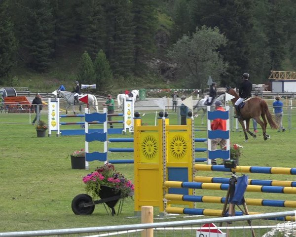 Reitturnier St. Moritz 2020