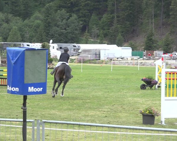 Reitturnier St. Moritz 2020