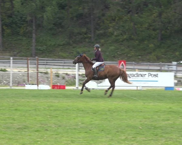 Reitturnier St. Moritz 2020