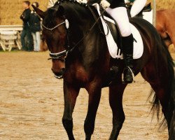 dressage horse Capri Ice R. (Westphalian, 2005, from Collin L)