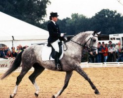 broodmare Shiva 27 (Trakehner,  , from Enim Pascha)