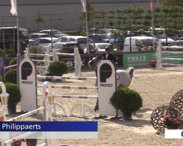 Jeugdfestival Lier 2020