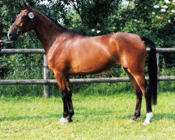 broodmare Lovisa (Trakehner, 2000, from Kosmonaut ox)