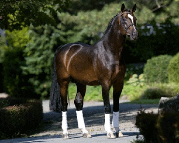 horse Polytraum (Westphalian, 1994, from Polydor)