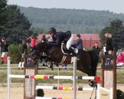 dressage horse Ginsterhof's Do (German Riding Pony, 2010, from Davenport II)