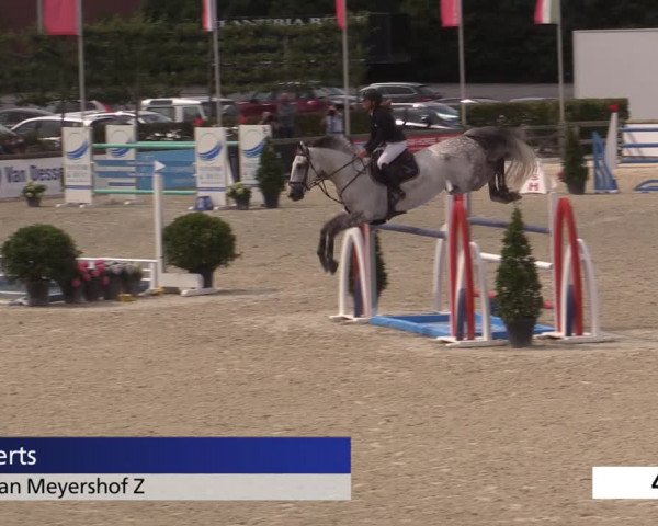 Jeugdfestival Lier 2020