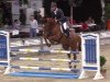 jumper Chapeau 25 (Oldenburg show jumper, 2010, from Carthino Z)