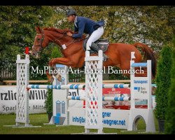 broodmare Gran Fürande (Oldenburg show jumper, 2004, from Grandeur)