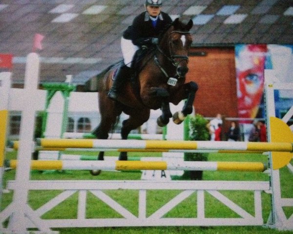 jumper Stanley 190 (Hanoverian, 2010, from Stolzenberg)