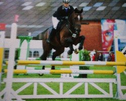 jumper Stanley 190 (Hanoverian, 2010, from Stolzenberg)