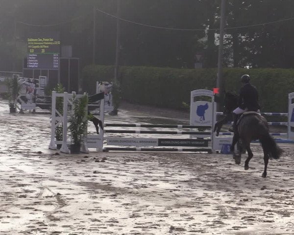Reitturnier Olfen-Vinnum 2020