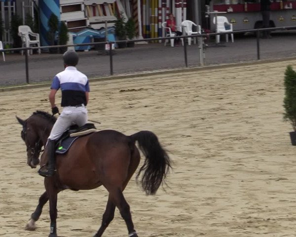 Reitturnier Hamm-Rhynern 2020