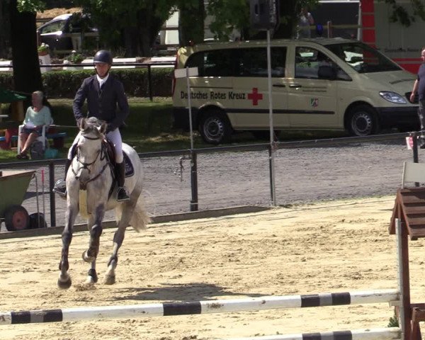 Reitturnier Hamm-Rhynern 2020
