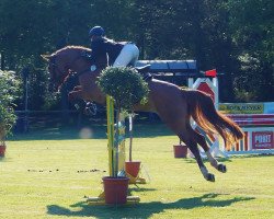 broodmare Sunshine WE (German Riding Pony, 2011, from Makuna Matata WE)