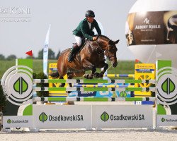 jumper Chuck Chin L. E. (KWPN (Royal Dutch Sporthorse), 2007, from Chiquitin La Silla)