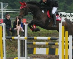 horse Felice (German Sport Horse, 2004, from Corton)