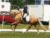 broodmare Tackmann's Baiser (German Riding Pony, 2011, from FS Golden Highlight)