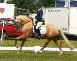 Zuchtstute Tackmann's Baiser (Deutsches Reitpony, 2011, von FS Golden Highlight)