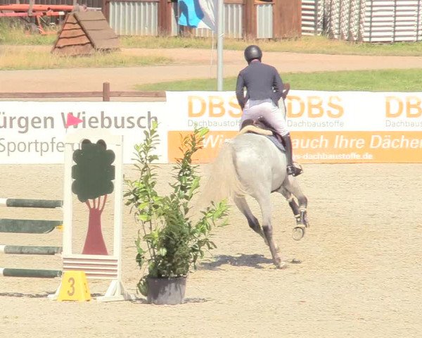 Reitturnier Westergellersen 2020