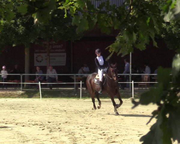 Reitturnier Ascheberg 2021