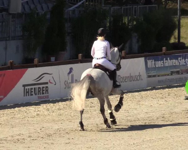 Reitturnier Westergellersen 2020