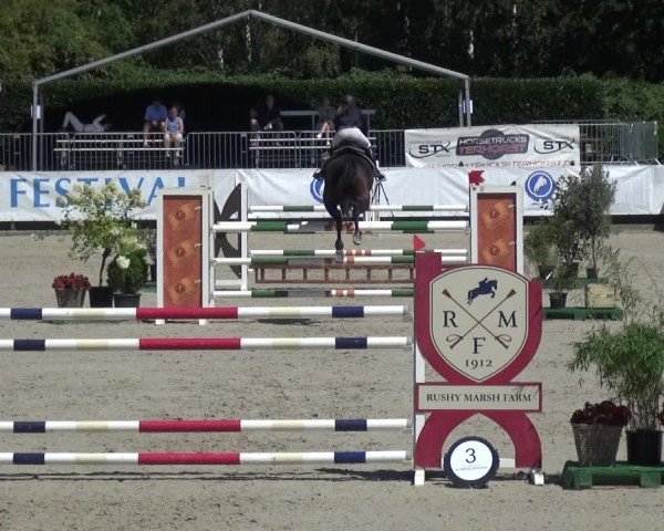 FEI Reitturnier Eschweiler (GER) 2020