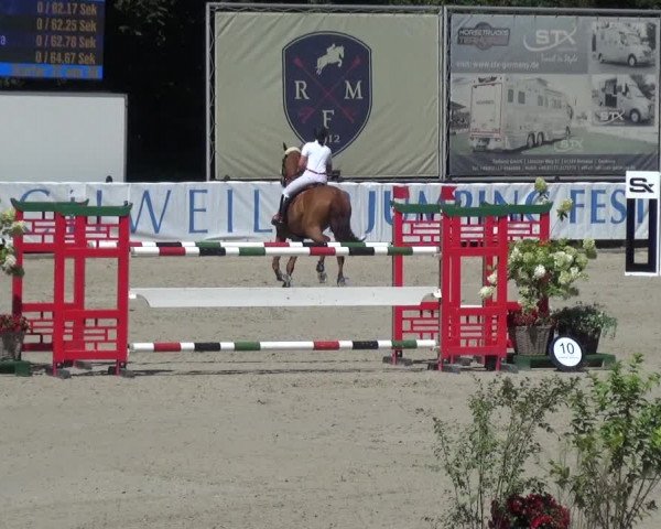 FEI Reitturnier Eschweiler (GER) 2020