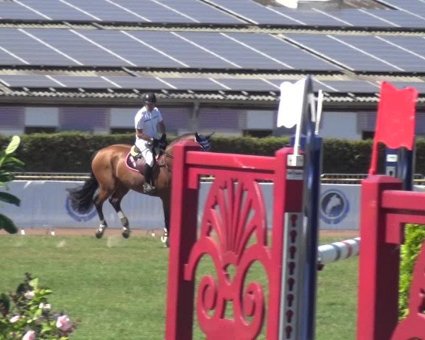 FEI Reitturnier Eschweiler (GER) 2020