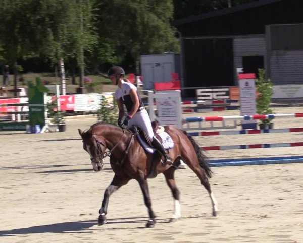 Reitturnier Olfen-Vinnum 2020