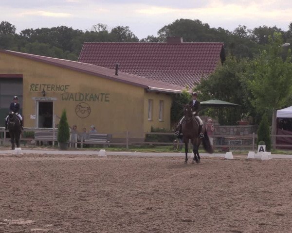 Reitturnier Altlandsberg 2020