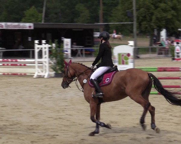 Reitturnier Olfen-Vinnum 2020