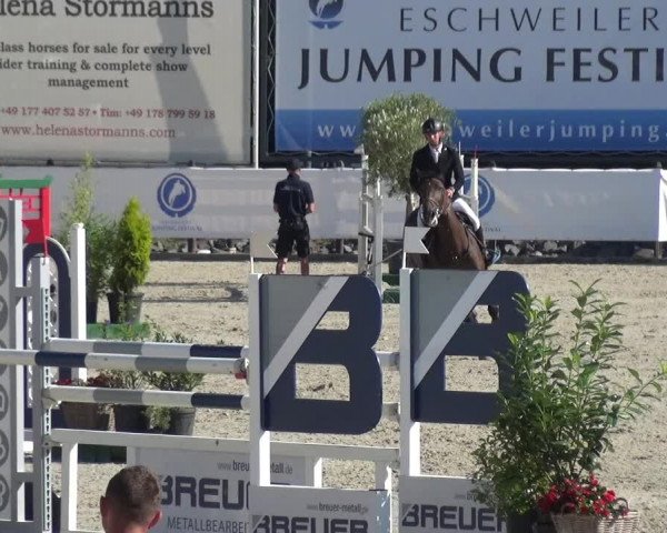 FEI Reitturnier Eschweiler (GER) 2020