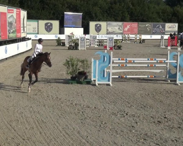 FEI Reitturnier Eschweiler (GER) 2020