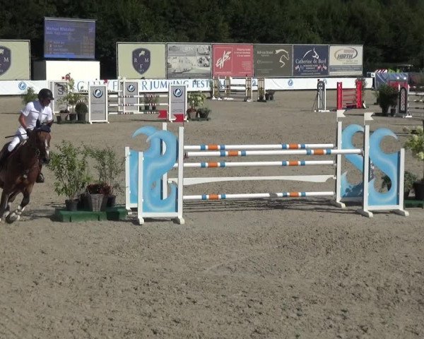 FEI Reitturnier Eschweiler (GER) 2020