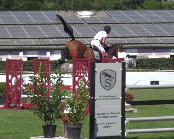 FEI Reitturnier Eschweiler (GER) 2020