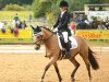 dressage horse Golden Fire 12 (German Riding Pony, 2010, from Gründleinshof's Golden Starlight)