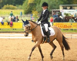 Dressurpferd Golden Fire 12 (Deutsches Reitpony, 2010, von Gründleinshof's Golden Starlight)